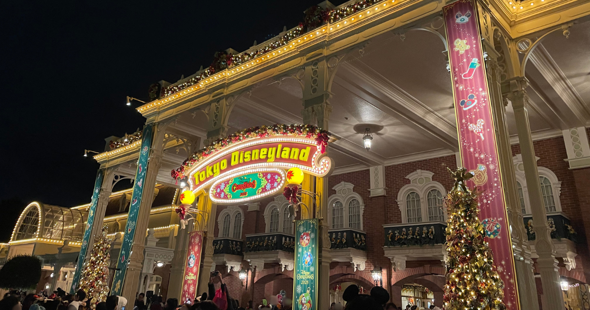 ディズニーランドエントランス夜