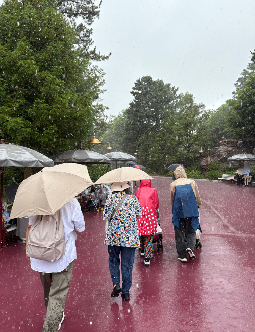 大雨ディズニーシー