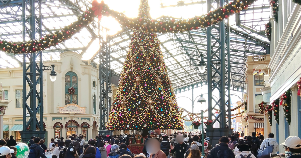 ディズニーランドクリスマスツリー朝